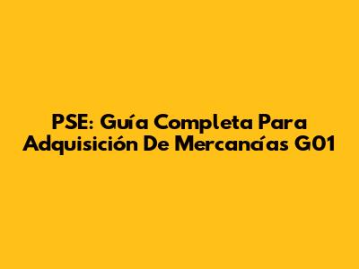 PSE: Guía Completa Para Adquisición De Mercancías G01