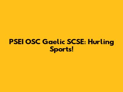 PSEI OSC Gaelic SCSE: Hurling Sports!