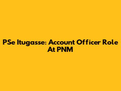 PSe Itugasse: Account Officer Role At PNM