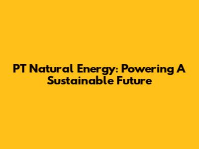 PT Natural Energy: Powering A Sustainable Future