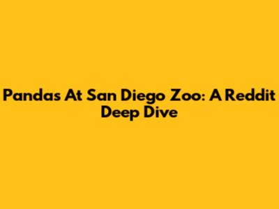 Pandas At San Diego Zoo: A Reddit Deep Dive