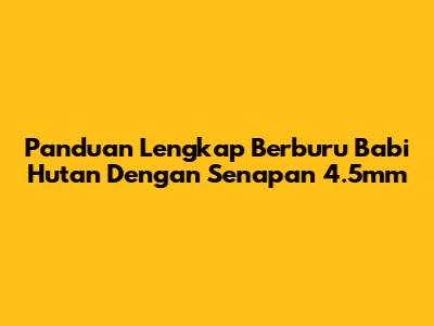 Panduan Lengkap Berburu Babi Hutan Dengan Senapan 4.5mm