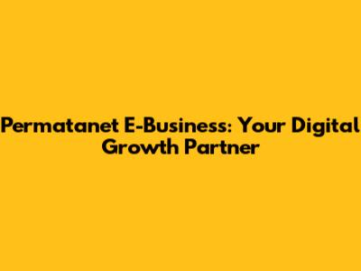 Permatanet E-Business: Your Digital Growth Partner