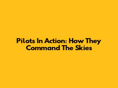 Pilots In Action: How They Command The Skies