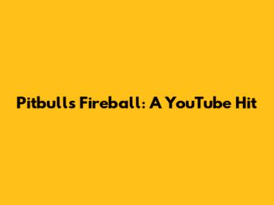 Pitbull's "Fireball": A YouTube Hit