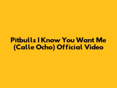 Pitbull's "I Know You Want Me (Calle Ocho)" Official Video