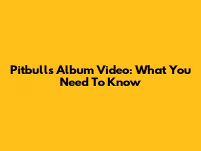 Pitbull's Album Video: What You Need To Know