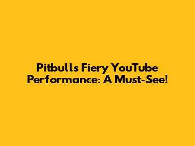 Pitbull's Fiery YouTube Performance: A Must-See!