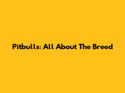 Pitbulls: All About The Breed