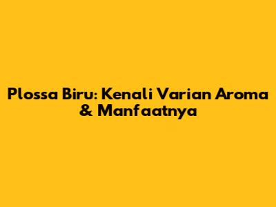 Plossa Biru: Kenali Varian Aroma & Manfaatnya