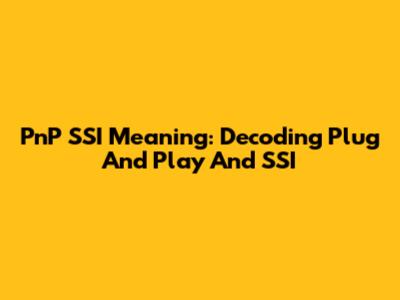 PnP SSI Meaning: Decoding Plug And Play And SSI