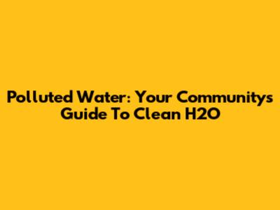 Polluted Water: Your Community's Guide To Clean H2O