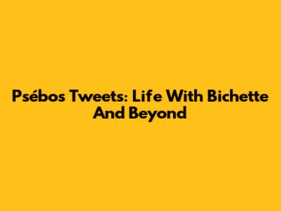 Psébo's Tweets: Life With Bichette And Beyond