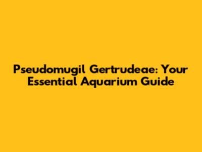 Pseudomugil Gertrudeae: Your Essential Aquarium Guide