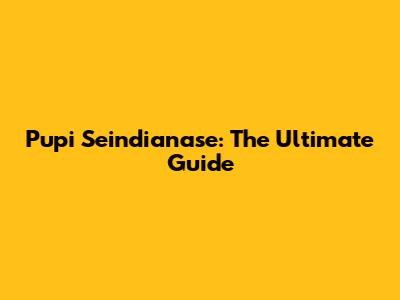Pupi Seindianase: The Ultimate Guide
