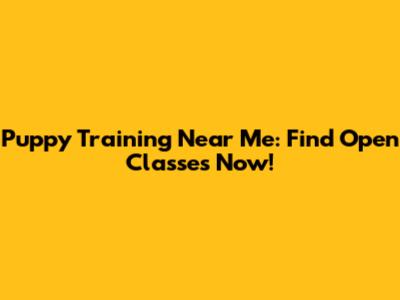 Puppy Training Near Me: Find Open Classes Now!