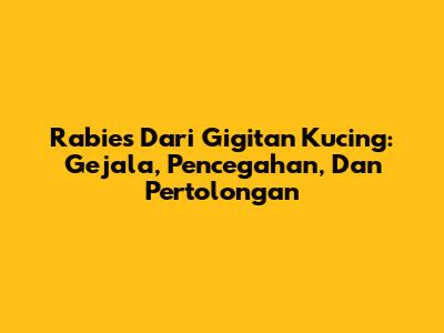 Rabies Dari Gigitan Kucing: Gejala, Pencegahan, Dan Pertolongan