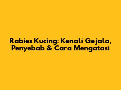 Rabies Kucing: Kenali Gejala, Penyebab & Cara Mengatasi