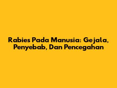 Rabies Pada Manusia: Gejala, Penyebab, Dan Pencegahan