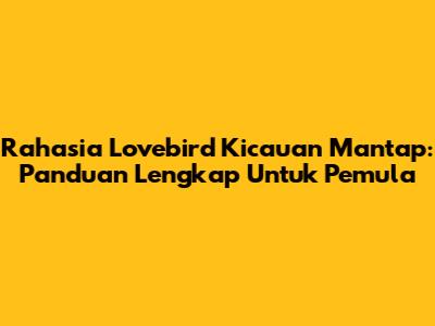 Rahasia Lovebird Kicauan Mantap: Panduan Lengkap Untuk Pemula