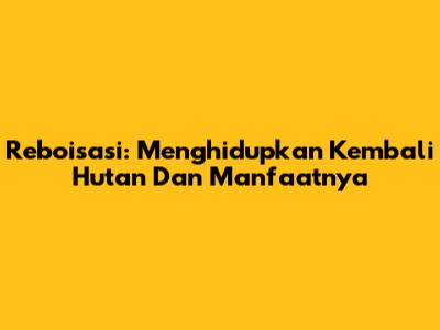 Reboisasi: Menghidupkan Kembali Hutan Dan Manfaatnya