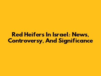 Red Heifers In Israel: News, Controversy, And Significance