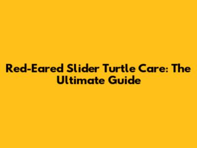 Red-Eared Slider Turtle Care: The Ultimate Guide