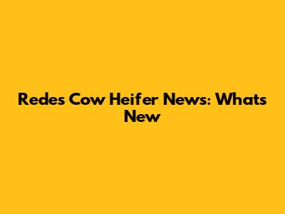 Redes Cow Heifer News: What's New