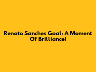 Renato Sanches Goal: A Moment Of Brilliance!