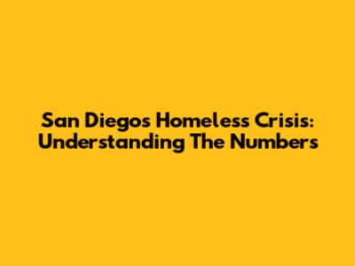 San Diego's Homeless Crisis: Understanding The Numbers