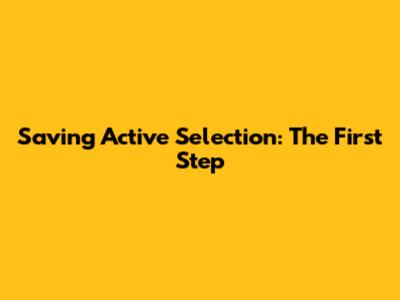 Saving Active Selection: The First Step