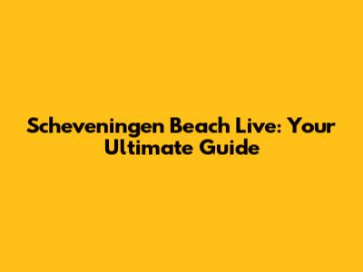 Scheveningen Beach Live: Your Ultimate Guide