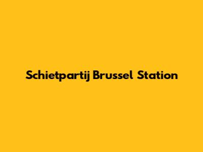 Schietpartij Brussel Station