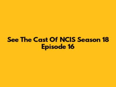 See The Cast Of 'NCIS' Season 18 Episode 16