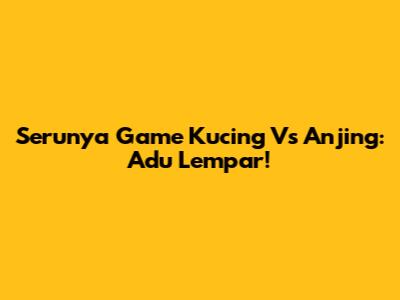 Serunya Game Kucing Vs Anjing: Adu Lempar!