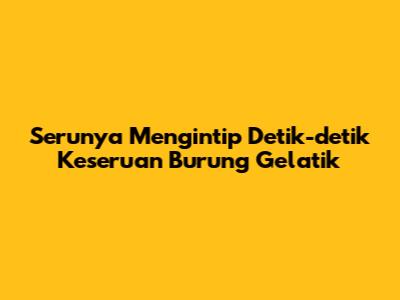 Serunya Mengintip Detik-detik Keseruan Burung Gelatik