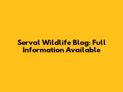 Serval Wildlife Blog: Full Information Available