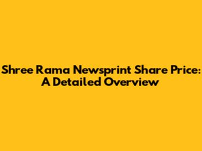 Shree Rama Newsprint Share Price: A Detailed Overview