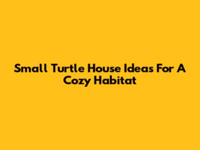 Small Turtle House Ideas For A Cozy Habitat