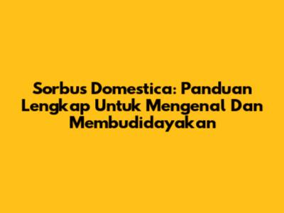 Sorbus Domestica: Panduan Lengkap Untuk Mengenal Dan Membudidayakan