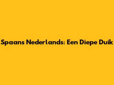 Spaans Nederlands: Een Diepe Duik
