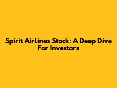 Spirit Airlines Stock: A Deep Dive For Investors