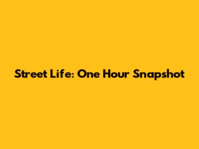 Street Life: One Hour Snapshot