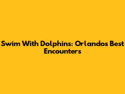 Swim With Dolphins: Orlando's Best Encounters