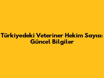 Türkiye'deki Veteriner Hekim Sayısı: Güncel Bilgiler