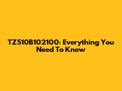 TZ510B102100: Everything You Need To Know