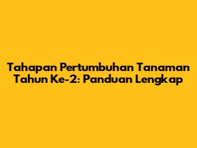 Tahapan Pertumbuhan Tanaman Tahun Ke-2: Panduan Lengkap