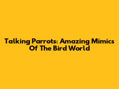 Talking Parrots: Amazing Mimics Of The Bird World
