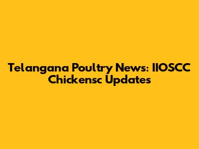Telangana Poultry News: IIOSCC Chickensc Updates