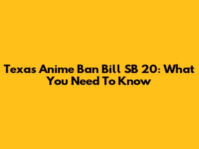Texas Anime Ban Bill SB 20: What You Need To Know